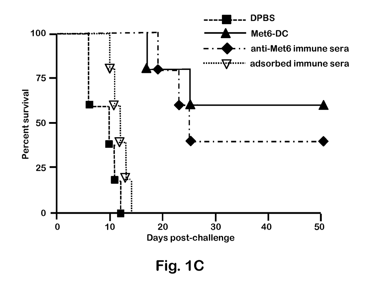 Chimeric Vaccine Against Fungal Infections