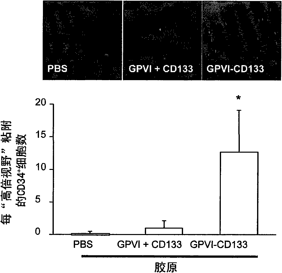 Bispecific fusion protein having therapeutic and diagnostic potential