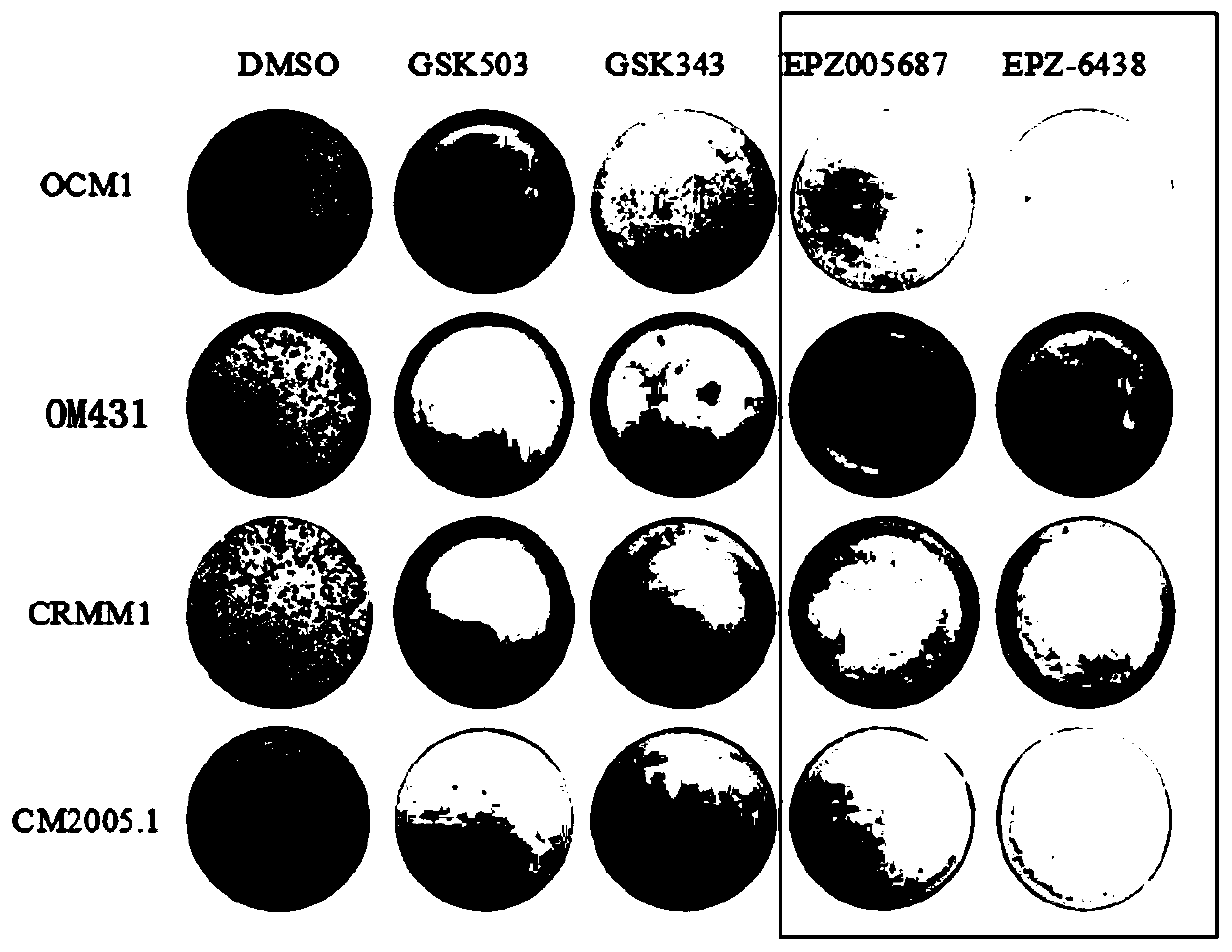 Application of ezh2 inhibitor compound in preparation of medicament for treating ocular melanoma