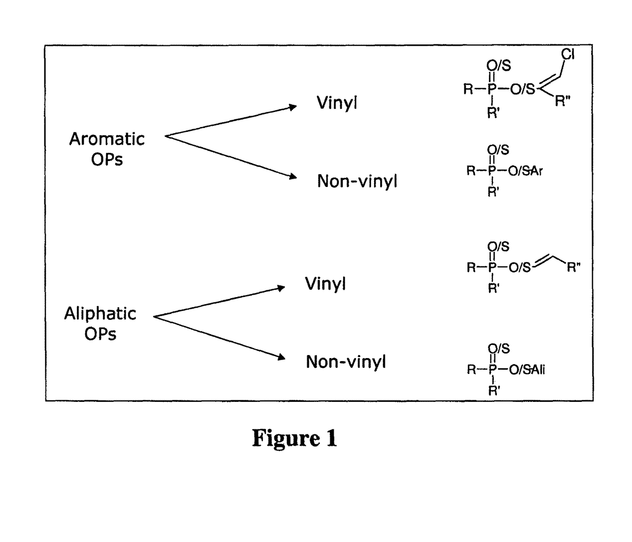 Enzymes for degrading organophosphates