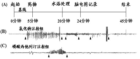 Application of sitagliptin phosphate in preparation of medicament for preventing and treating febrile convulsion