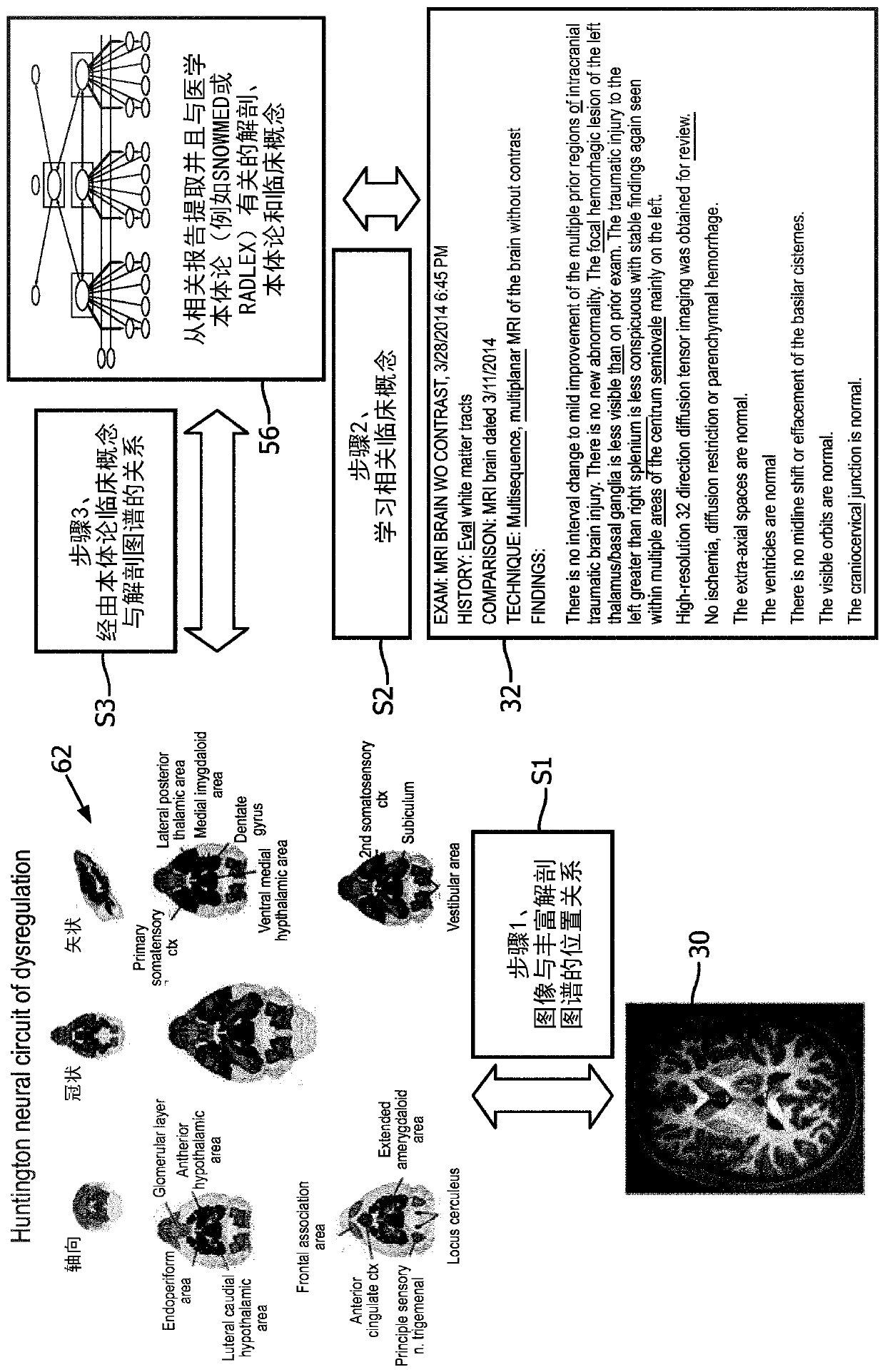 Holistic patient radiology viewer