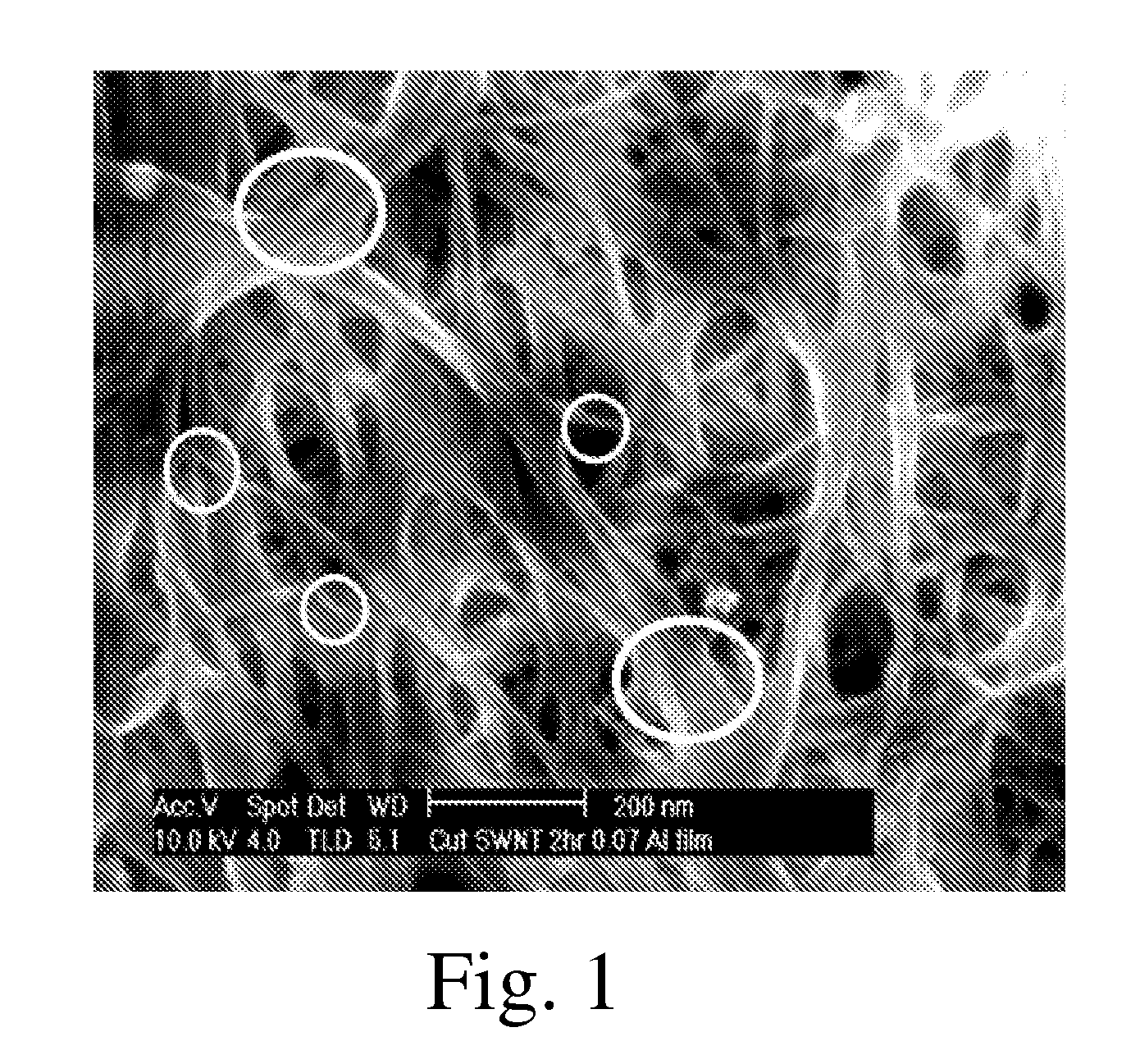 Modified Carbon Nanotubes and Methods of Forming Carbon Nanotubes