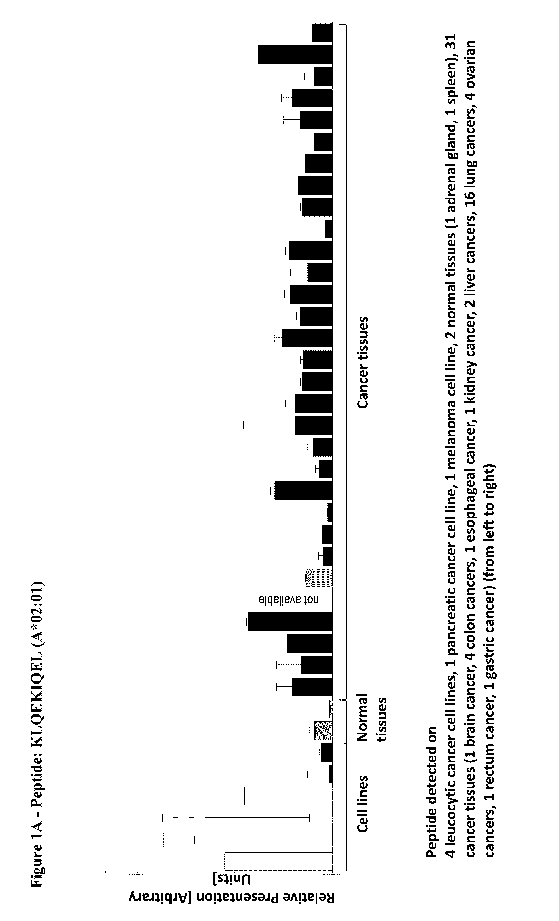 Novel peptides and combination of peptides for use in immunotherapy against various tumors