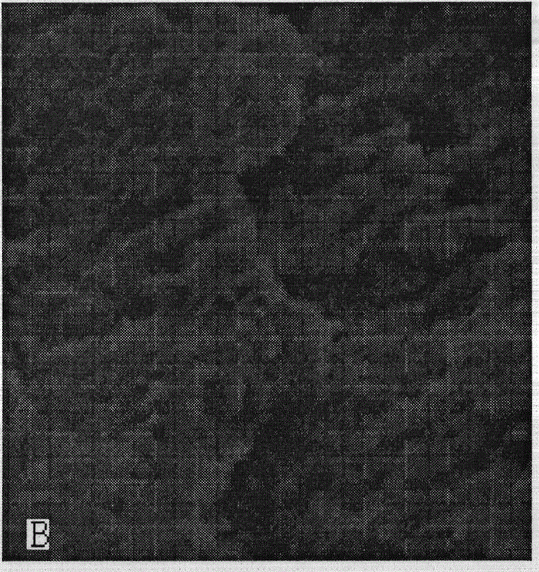 Low-smoke halogen-free coal mine electric cable material and preparation method thereof