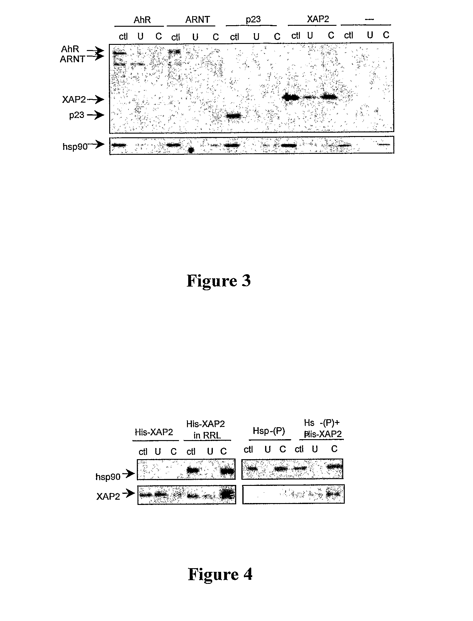 Methods Of Inhibiting the Activity of Hsp90 and/or Aryl Hydrocarbon Receptor