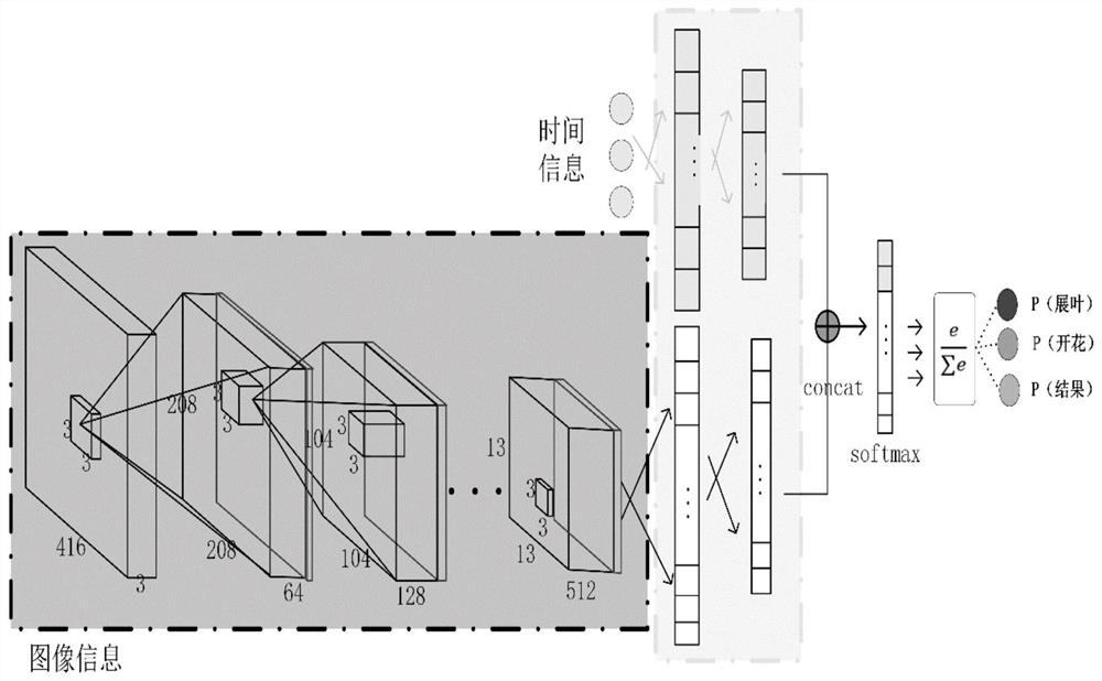 An automatic identification method of apple phenology by fusing image and time features