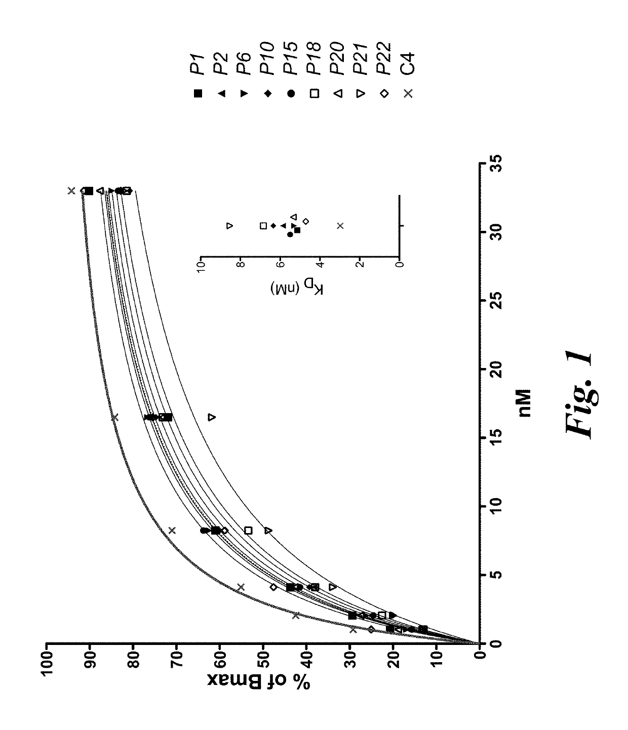 T cell immunotherapy specific for WT-1