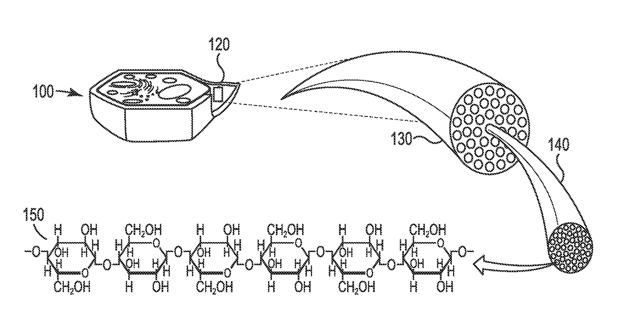 System for co-firing cleaned coal and beneficiated organic-carbon-containing feedstock in a coal combustion apparatus