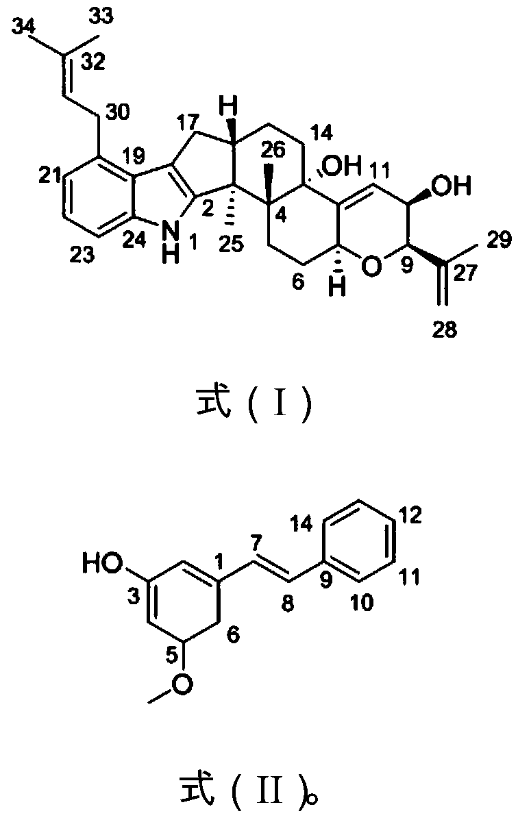 Penicillium t3-1 and its fermentation compound, extraction and purification method and application in anti-allergy