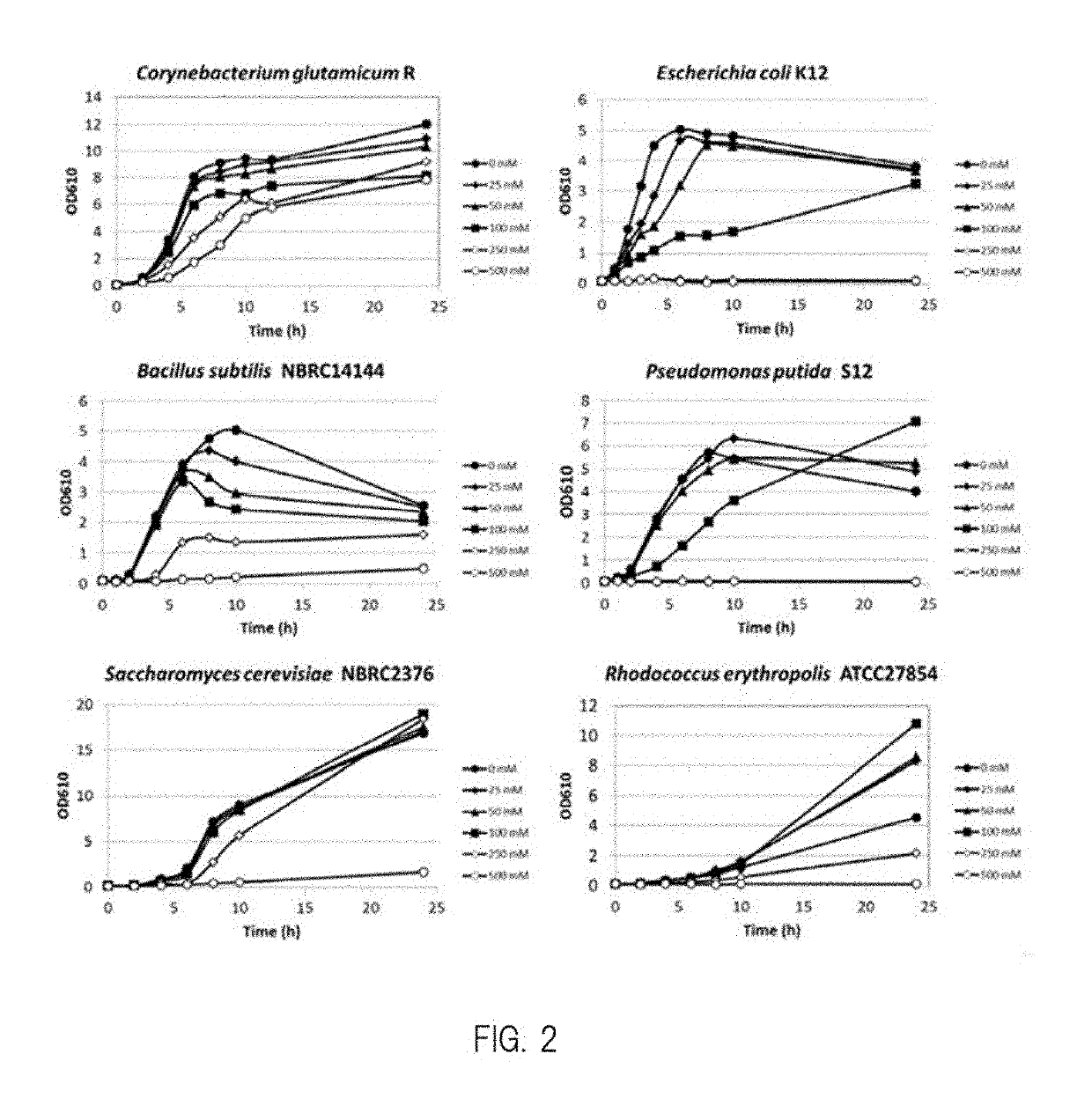 Transformant, and method for producing protocatechuic acid or salt thereof using same