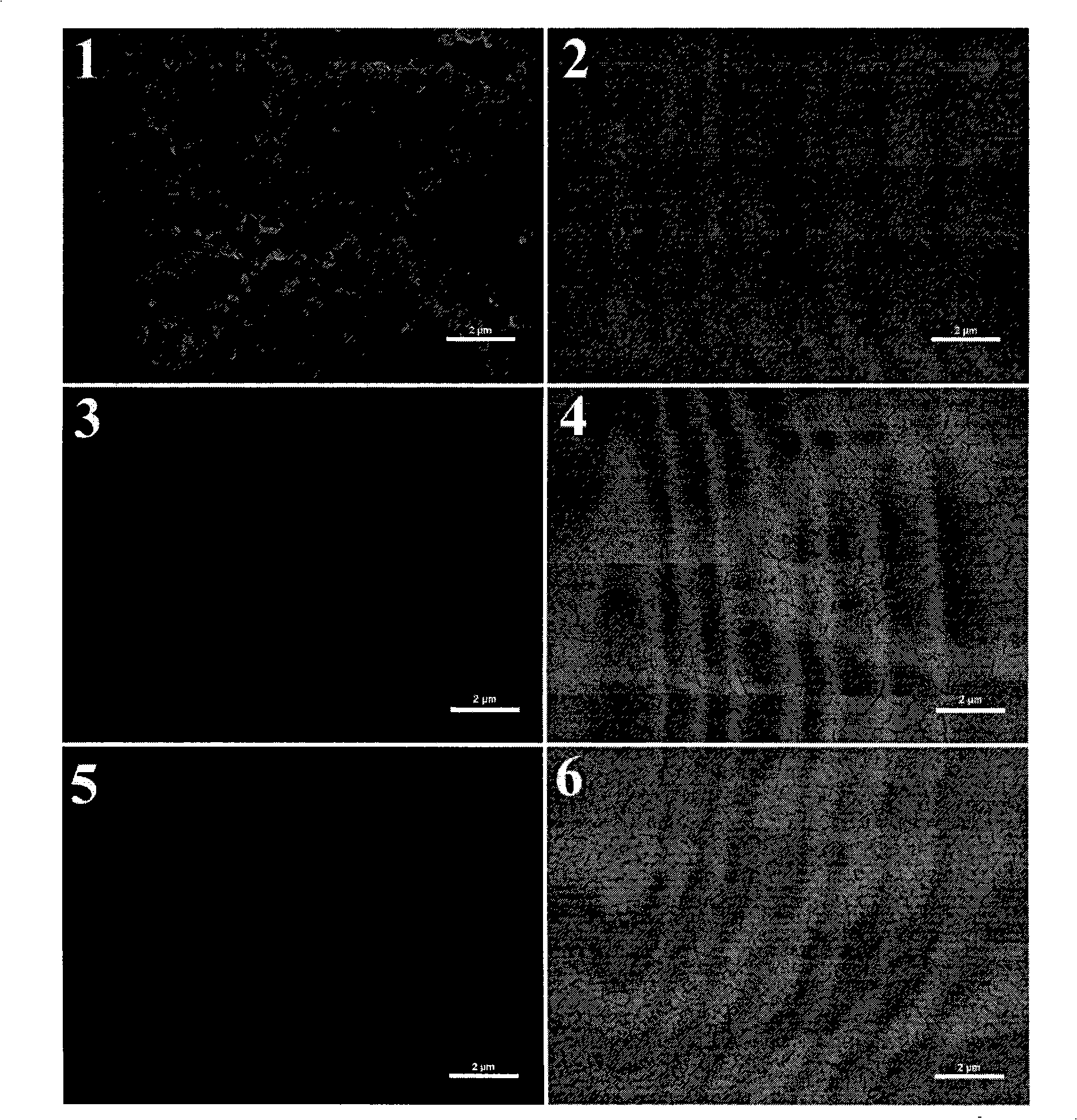 Tumour targeting fluorescent probe and application in tumour NO test