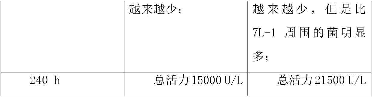 Preparation of oxalate decarboxylase as well as product and application of oxalate decarboxylase