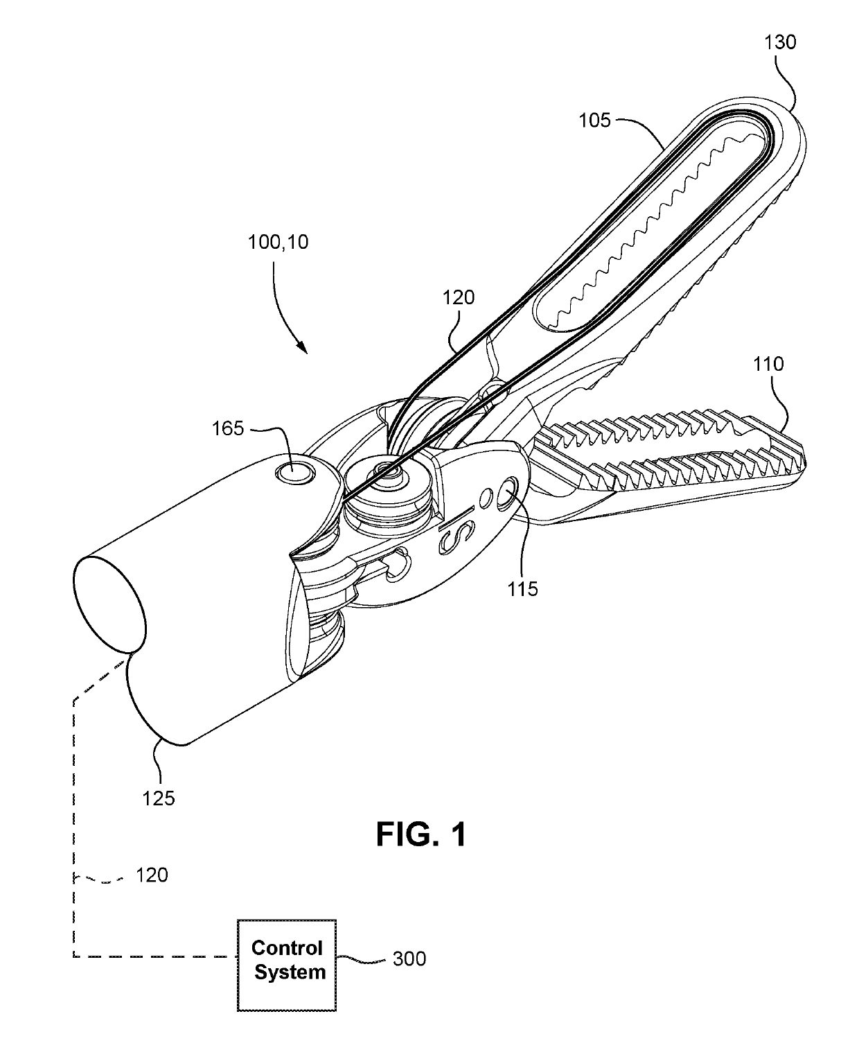 Fiber optic sensing of tool strain or tool angle