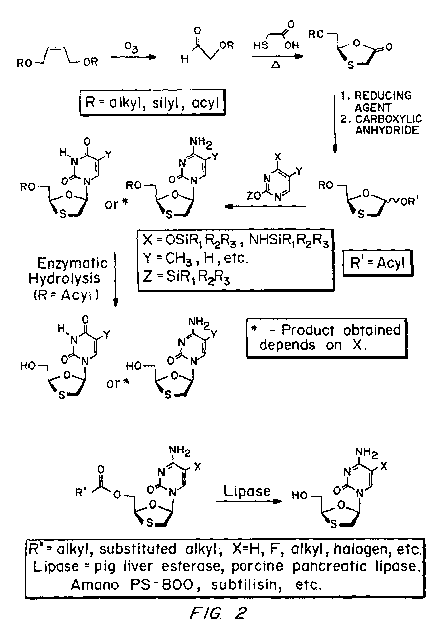 Method of resolution and antiviral activity of 1,3-oxathiolane nucleoside enantiomers