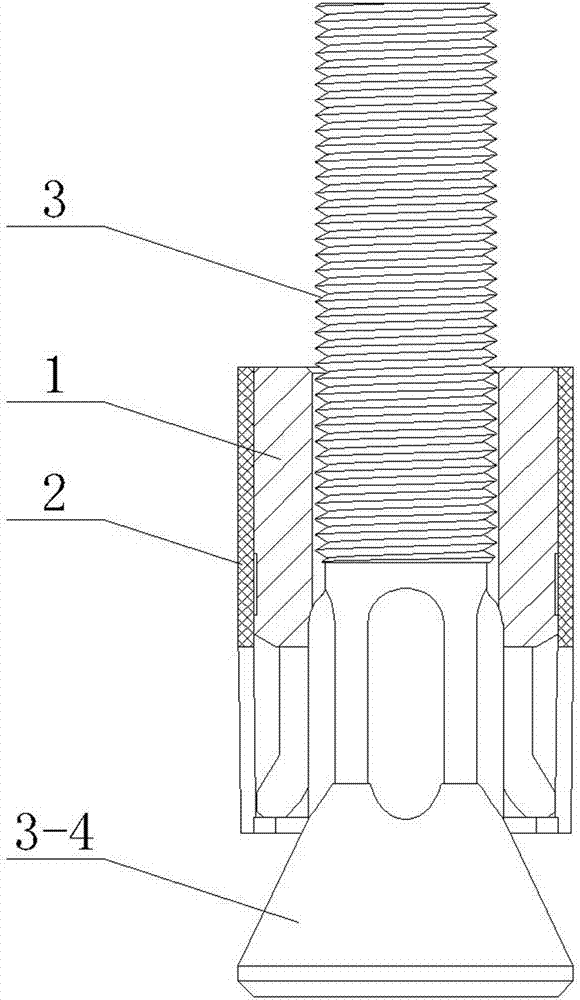 a back bolt