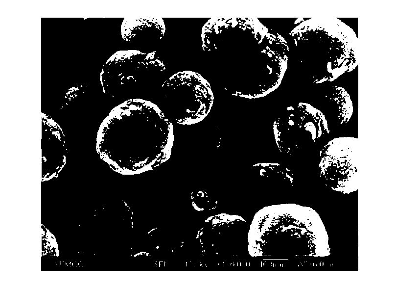 Graphene shell and process of preparing the same