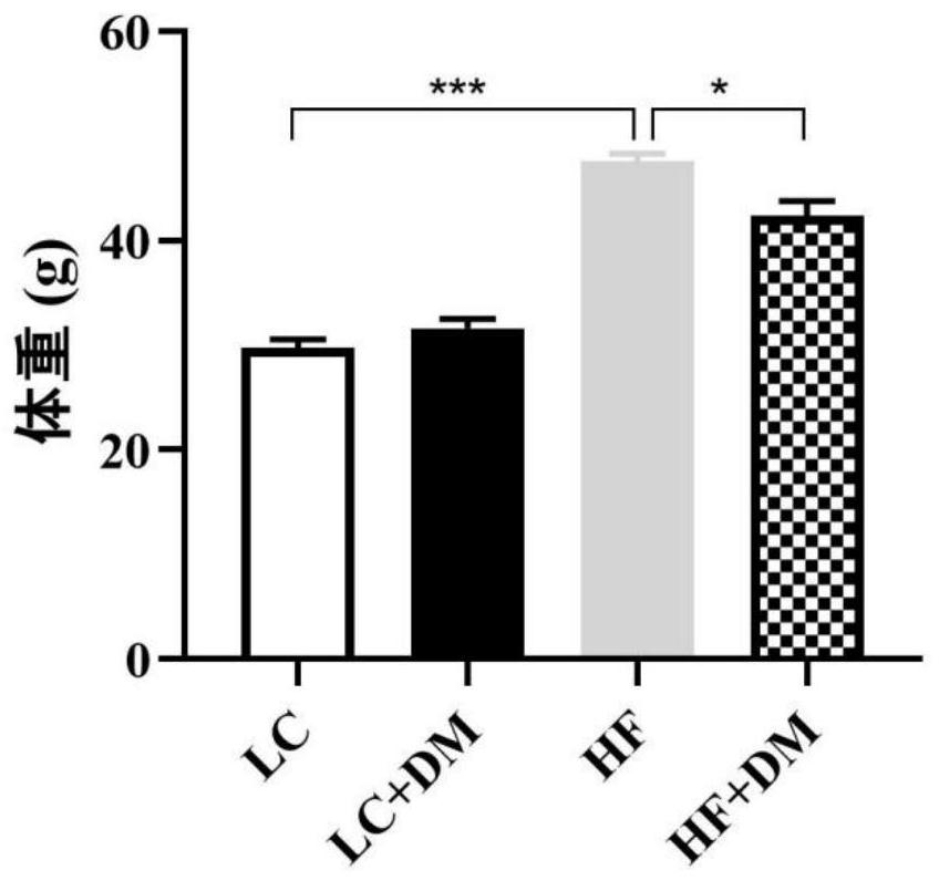 Application of diethyl n-butylmalonate in preparation of medicines for preventing and treating obesity