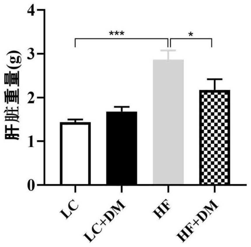 Application of diethyl n-butylmalonate in preparation of medicines for preventing and treating obesity