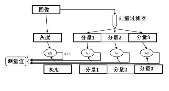 Gray scale and geometric information combined medical image registration method