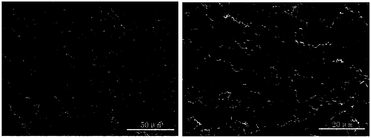 Preparation method of modified separator for lithium ion battery