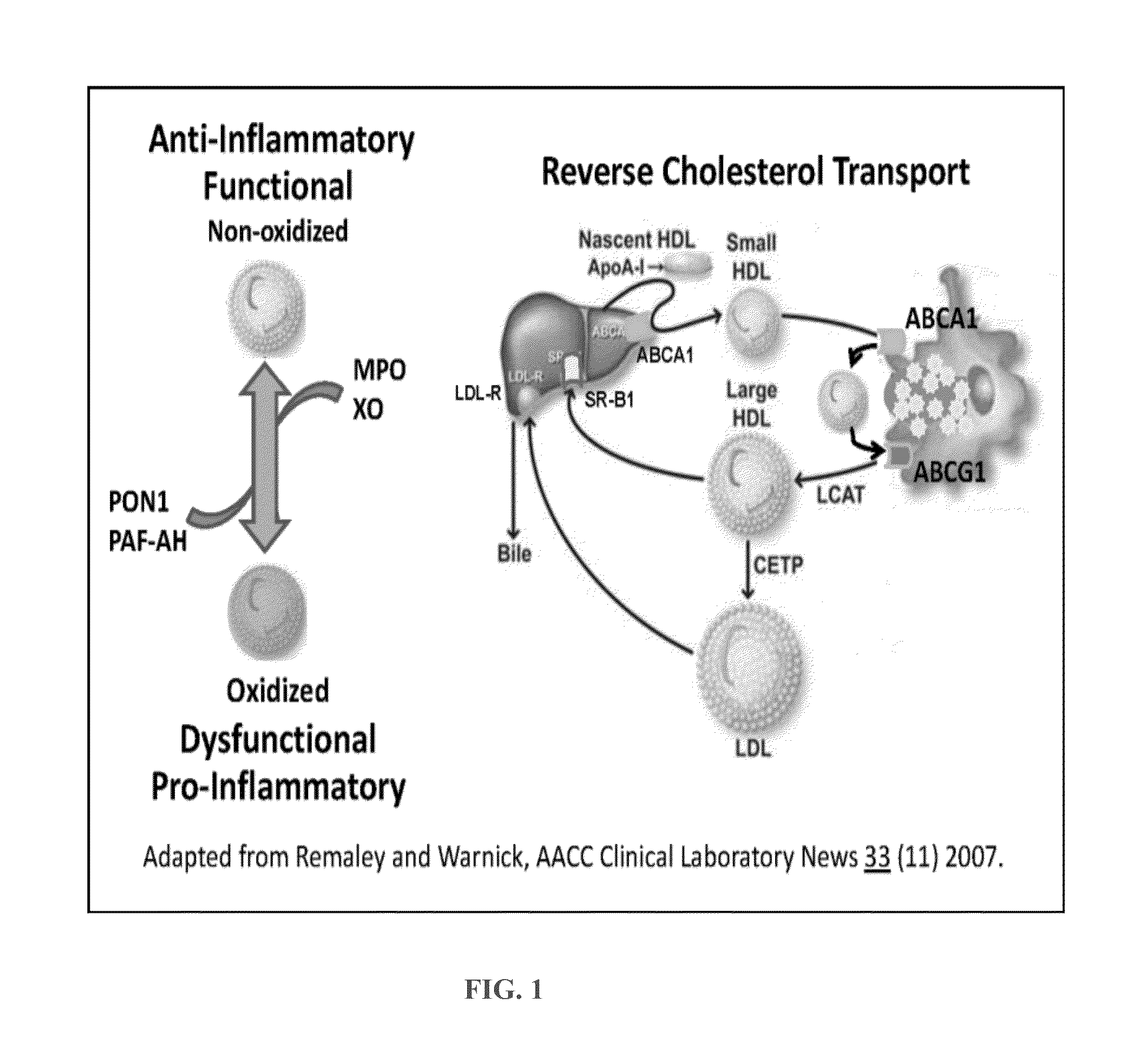 Assays for hdl biomolecular interactions