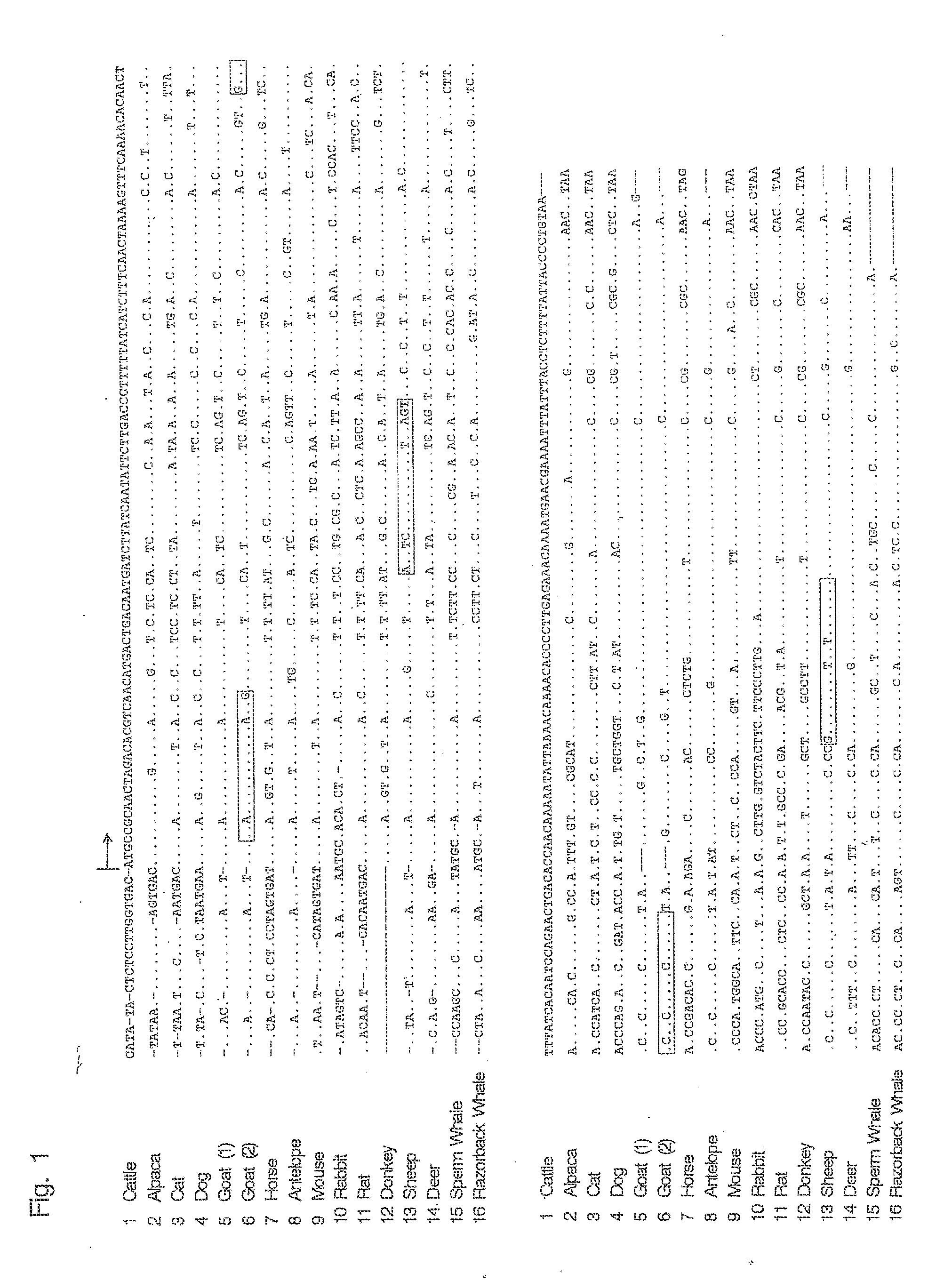 Oligonucleotide sequences that identify species of animal