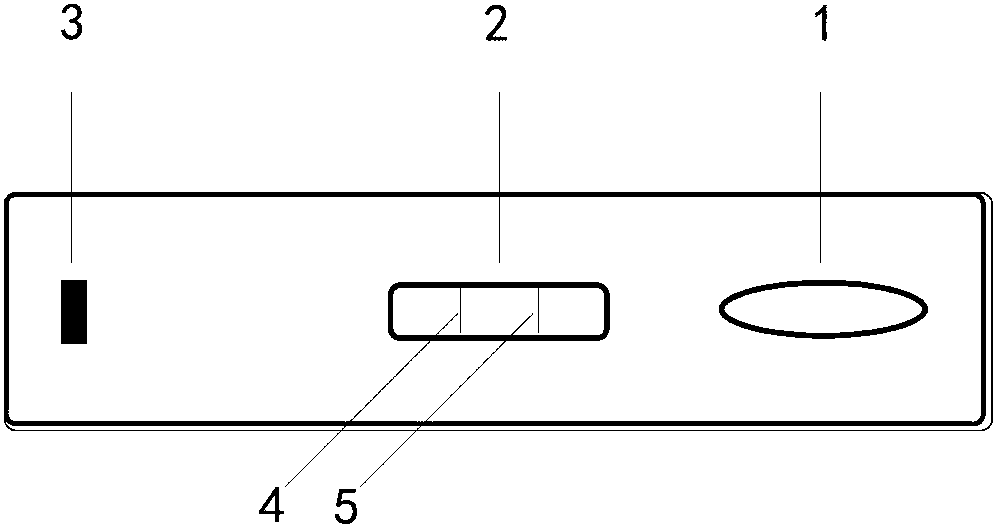 Feline calicivirus fluorescent quantitative detection card and detection method