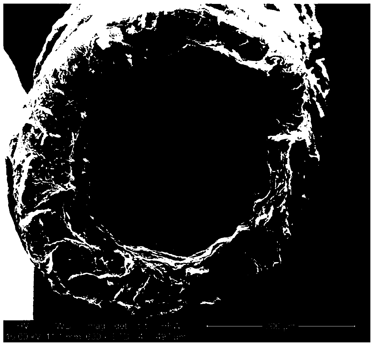 Graphene aerogel hollow fiber, and preparation method and application thereof