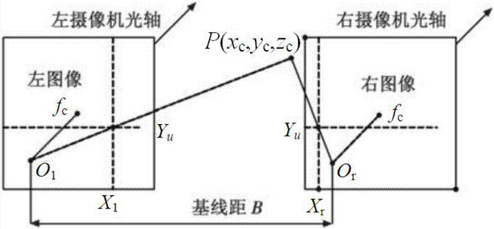 Servo-actuated machine vision apparatus and dynamic tracking range finding method