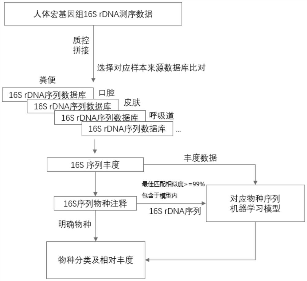 Optimization method for accurate species identification of human flora through high-throughput 16S rDNA sequencing