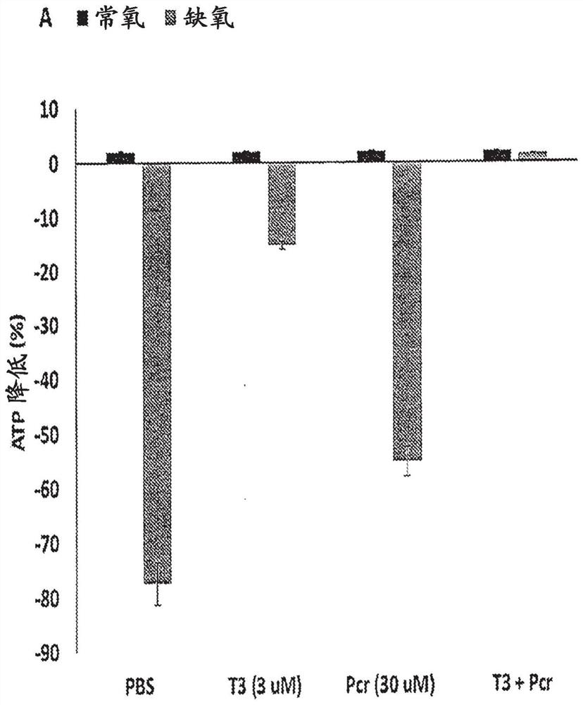 Novel formulations and methods