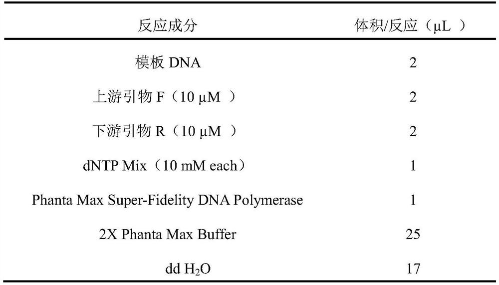 Duck type 3 adenovirus antibody indirect ELISA detection method and detection kit and application thereof