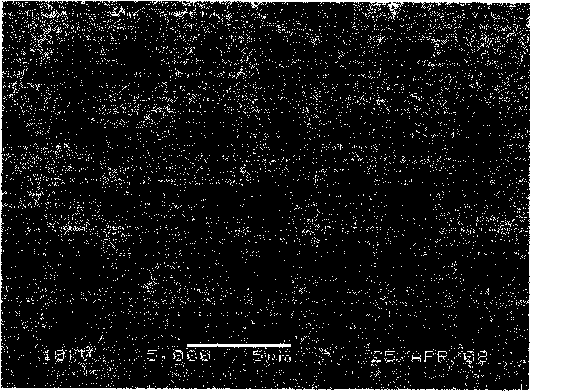 Carbon-based supercapacitor based on polyacrylamide gel electrolyte and preparation method thereof