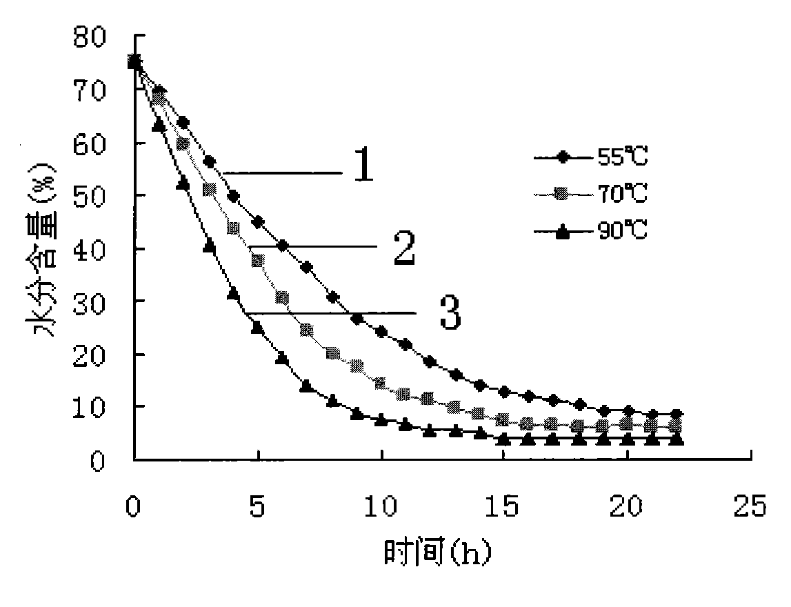 Method for drying oil-tea camellia seed