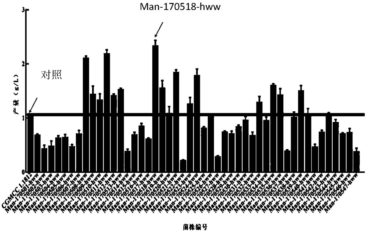 Bacterial strain for producing bacterial cellulose and isolation and screening method thereof