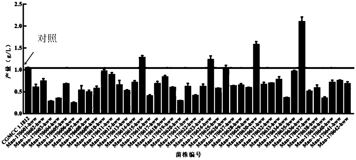 Bacterial strain for producing bacterial cellulose and isolation and screening method thereof