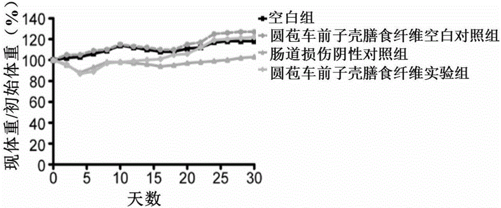 Application of psyllium husk dietary fiber in preparation of intestinal injury protection preparation