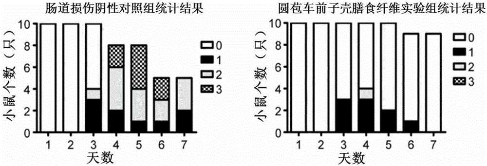 Application of psyllium husk dietary fiber in preparation of intestinal injury protection preparation