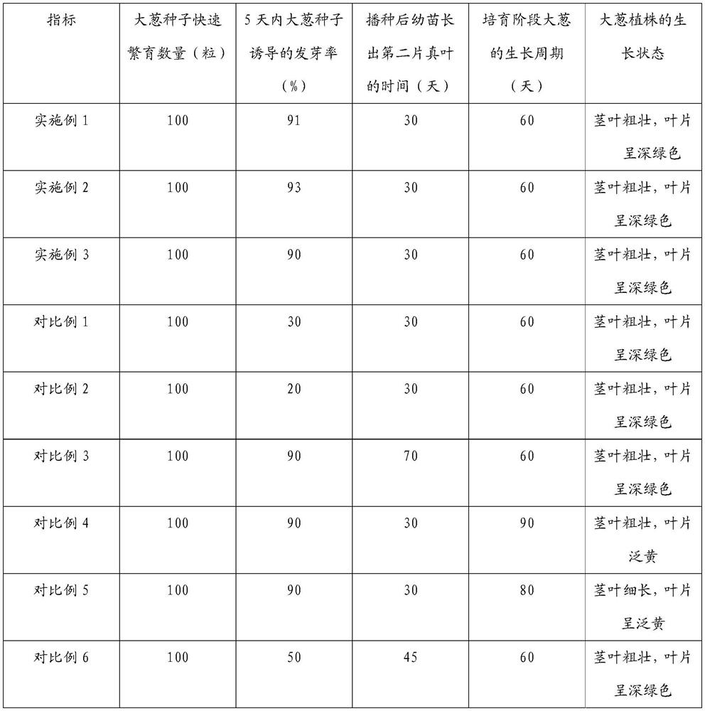 Cultivation method for rapid breeding of allium fistulosum