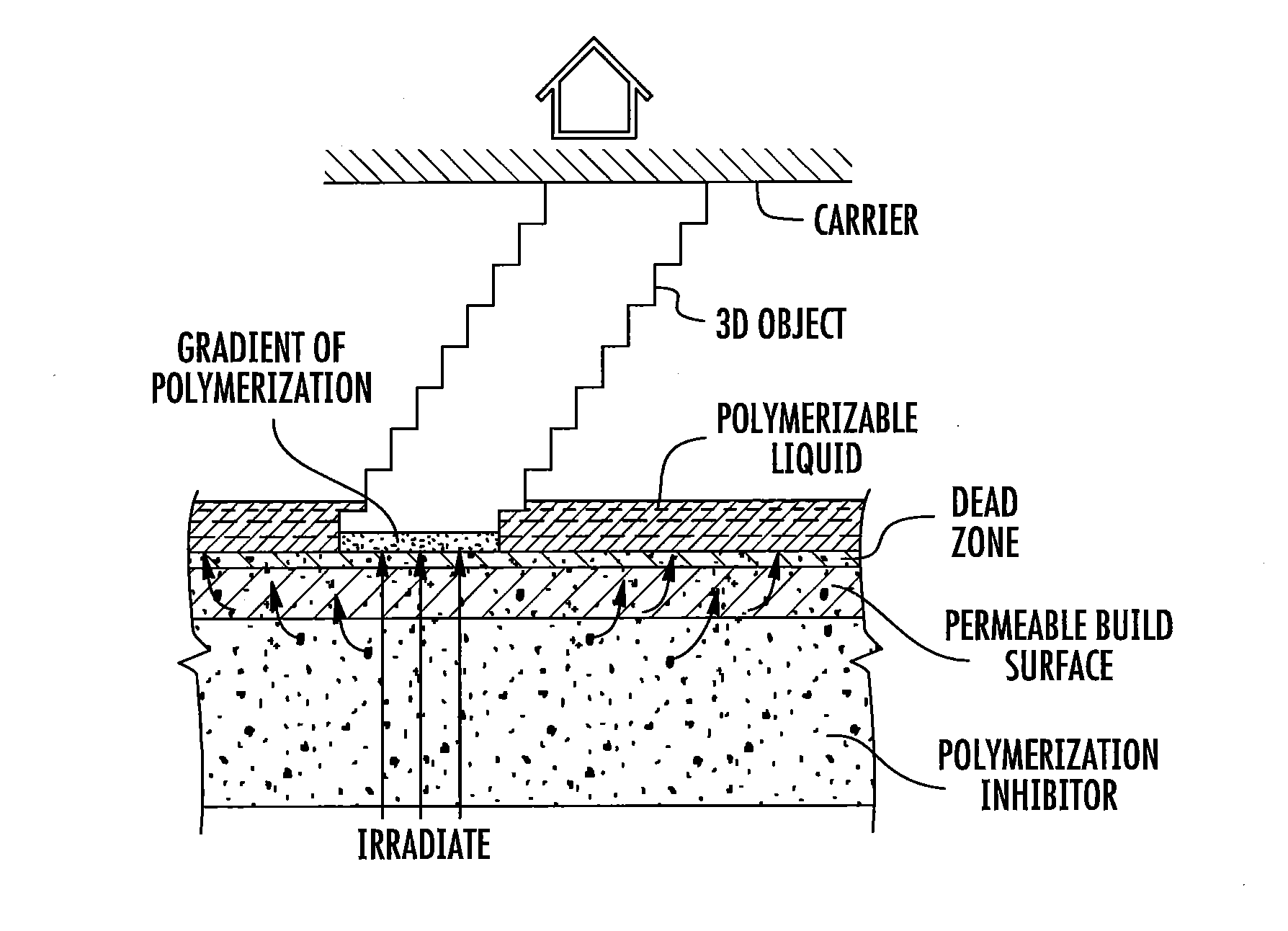 Three-dimensional printing with build plates having a rough or patterned surface and related methods