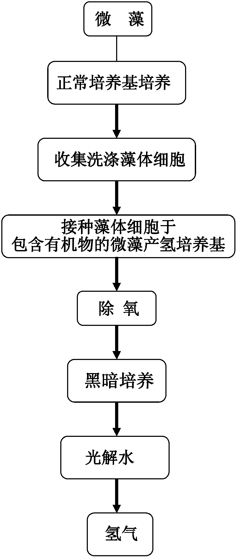 Method for raising hydrogen production efficiency of microalgae