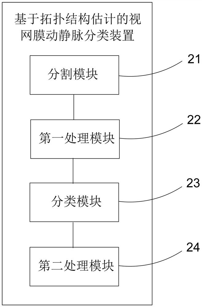 Retinal arteriovenous classification method and device based on topological structure estimation