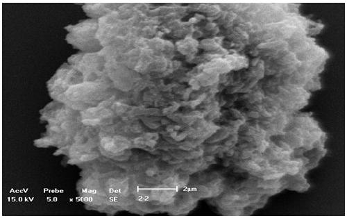 A method for promoting aerobic sludge granulation by mycelium balls