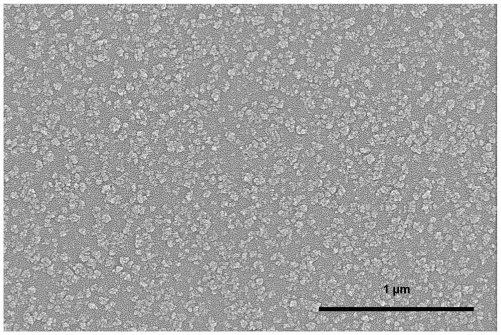 MSM type deep ultraviolet photoelectric detector based on cubic boron nitride thick film and preparation method