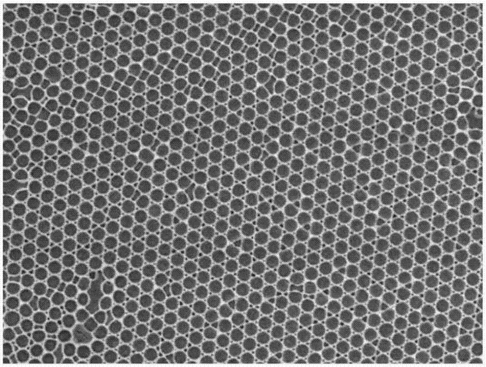 Large-area flexible perovskite solar cell and manufacturing method thereof