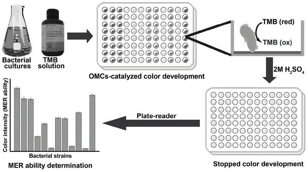 Method for quickly detecting extracellular respiratory activity of microorganisms