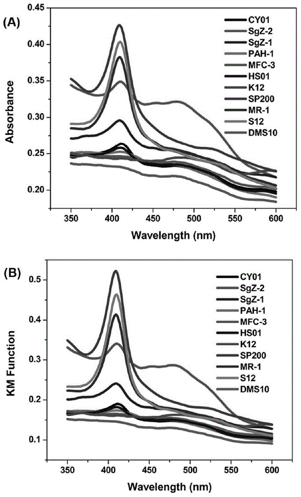 Method for quickly detecting extracellular respiratory activity of microorganisms