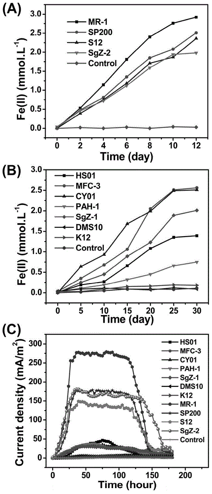 Method for quickly detecting extracellular respiratory activity of microorganisms