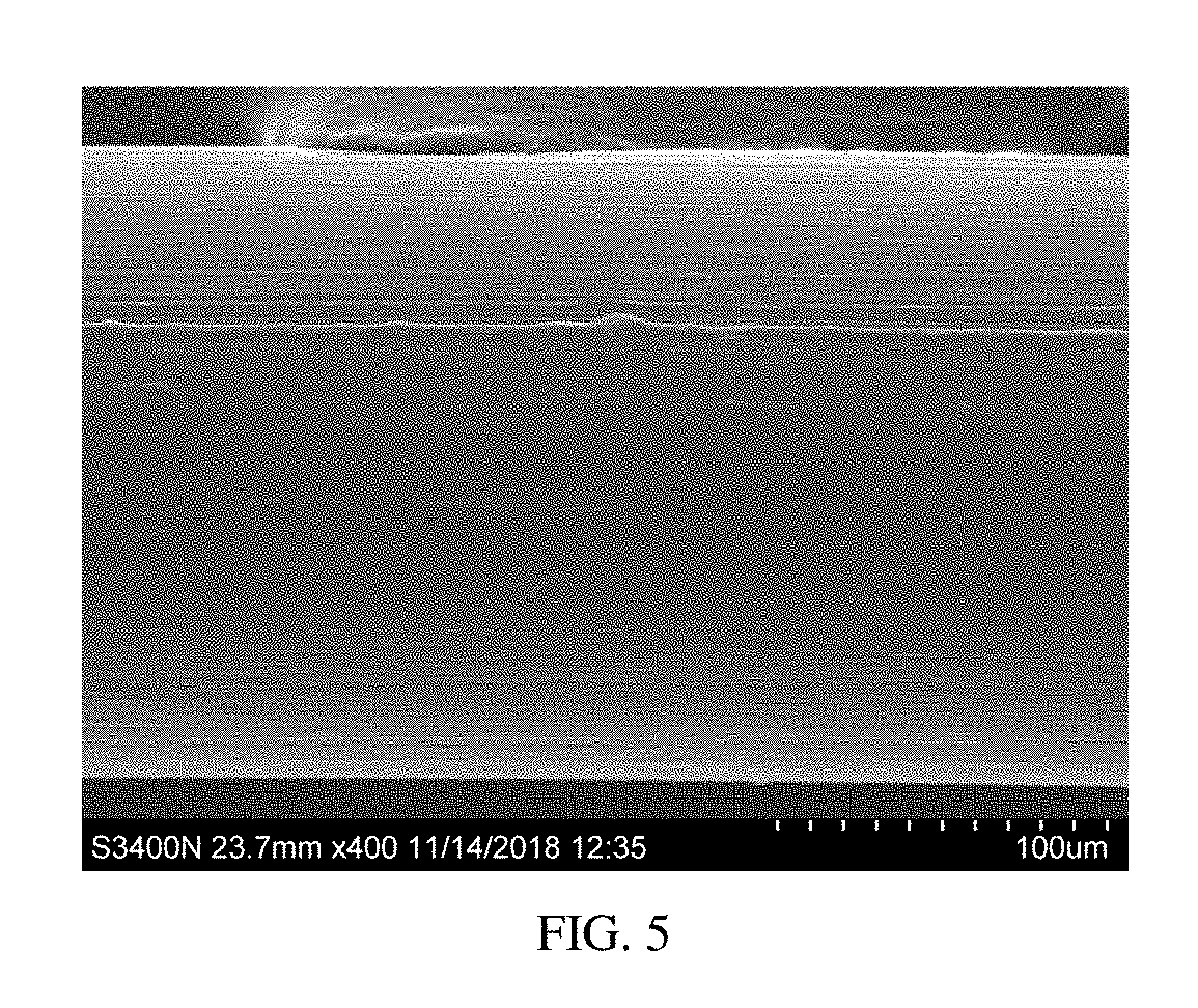 Surgial mesh implants containing poly(butylene succinate) and copolymers thereof